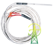 ������ ����������� RT56 (Pt 100) �������� � ������� ������������� ������.